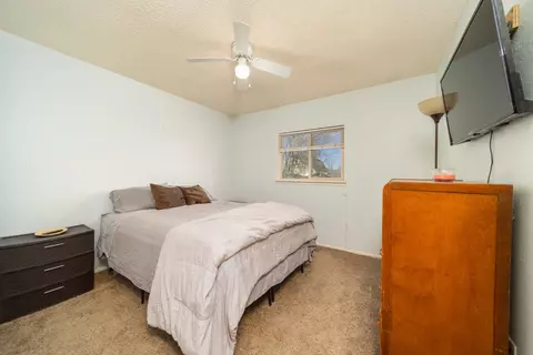 203 E Heritage Ct, Fruita, CO 81521 photo 11