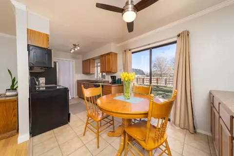 203 E Heritage Ct, Fruita, CO 81521 photo 4