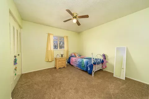 203 E Heritage Ct, Fruita, CO 81521 photo 12