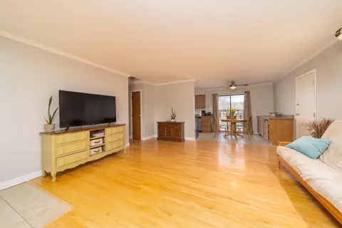 203 E Heritage Ct, Fruita, CO 81521 photo 7
