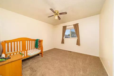203 E Heritage Ct, Fruita, CO 81521 photo 9