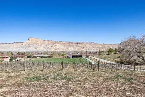3569 E Rd, Palisade, CO 81526 photo 38