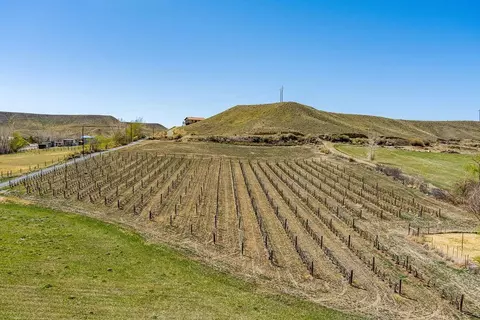 3569 E Rd, Palisade, CO 81526 photo 41