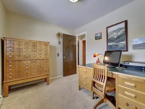 1016 E Pabor Ave, Fruita, CO 81521 photo 14