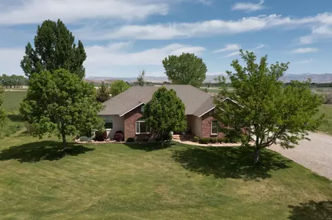1668 M Rd, Fruita, CO 81521 photo 1