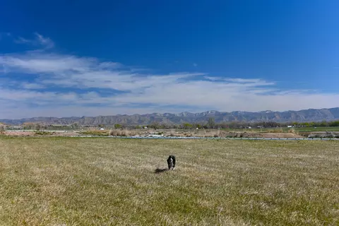 1668 M Rd, Fruita, CO 81521 photo 34