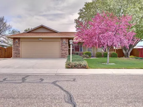 418 Gold Rush Dr, Fruita, CO 81521 photo 1