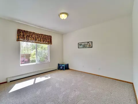 418 Gold Rush Dr, Fruita, CO 81521 photo 14