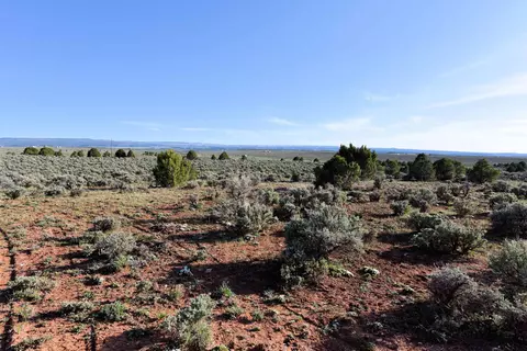 15997 Holloway Ln, Glade Park, CO 81523