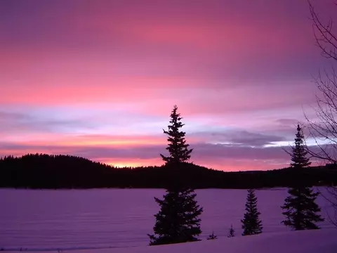 26737 Cold Stream Dr, Cedaredge, CO 81413 photo 20