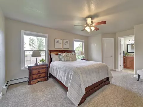 417 Gold Rush Dr, Fruita, CO 81521 photo 13