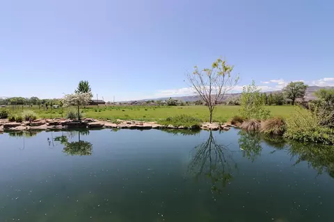 1983 J Rd, Fruita, CO 81521 photo 25