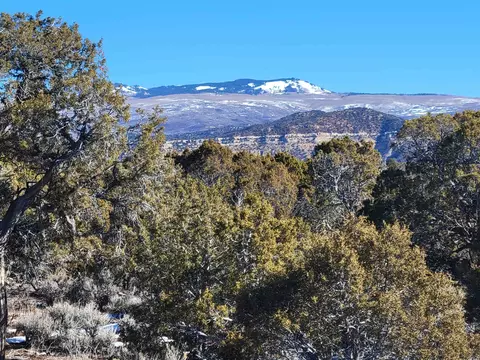 tbd Q 25 Rd, Cedaredge, CO 81413