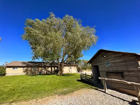 1725 O Rd, Fruita, CO 81521 photo 23