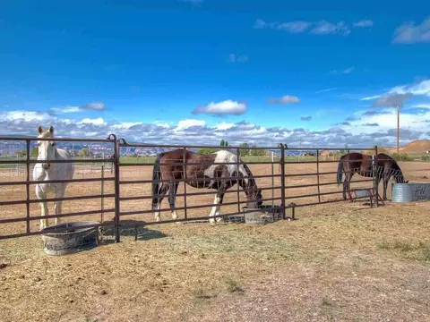 1725 O Rd, Fruita, CO 81521 photo 25