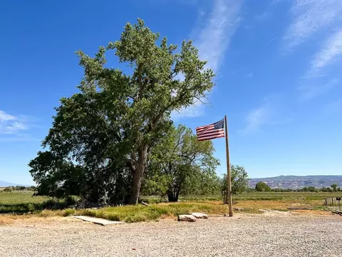 1725 O Rd, Fruita, CO 81521 photo 26