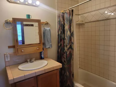177 N Maple St, Fruita, CO 81521 photo 10