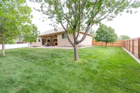 977 S Pine St, Fruita, CO 81521 photo 24