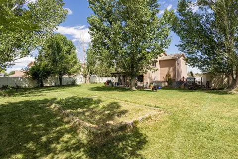 772 Dean Ct, Fruita, CO 81521 photo 26