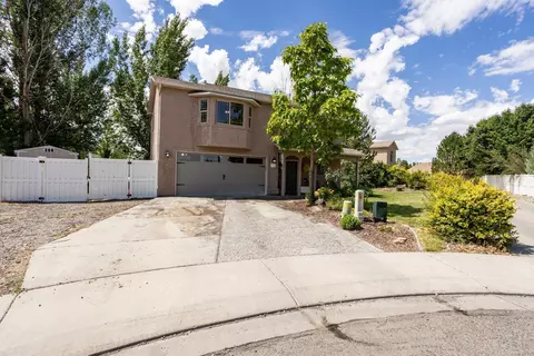 772 Dean Ct, Fruita, CO 81521 photo 2