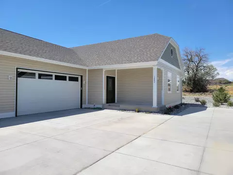 1247 Periwinkle Ct, Fruita, CO 81521 photo 1