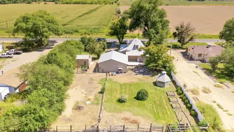 1173 16 Rd, Fruita, CO 81521 photo 41
