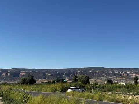 1210 Lazy V Ln, Fruita, CO 81521 photo 4