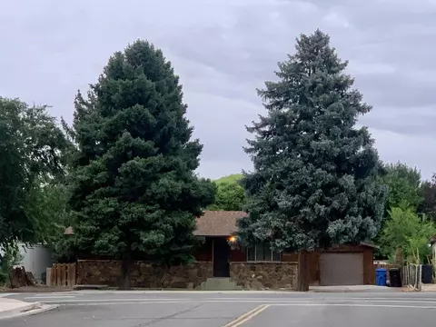 429 S San Juan St, Montrose, CO 81401