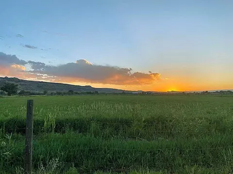 854 River Ranch Ct, Fruita, CO 81521 photo 1