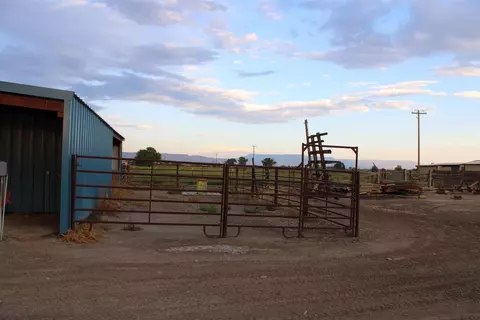 1156 20 Rd, Fruita, CO 81521 photo 13