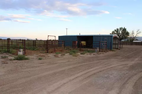 1156 20 Rd, Fruita, CO 81521 photo 22