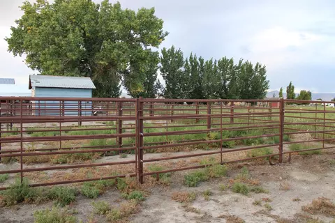1156 20 Rd, Fruita, CO 81521 photo 24