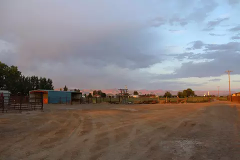 1156 20 Rd, Fruita, CO 81521 photo 6