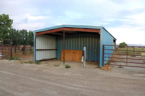1156 20 Rd, Fruita, CO 81521 photo 12