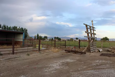 1156 20 Rd, Fruita, CO 81521 photo 16