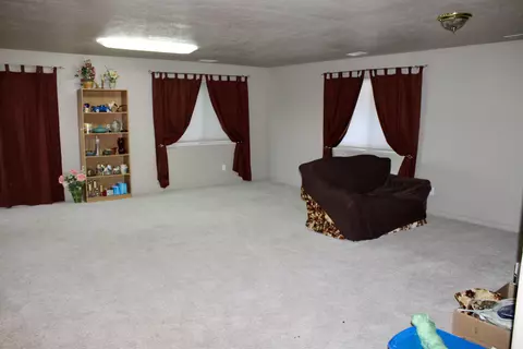 1156 20 Rd, Fruita, CO 81521 photo 41