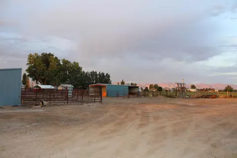 1156 20 Rd, Fruita, CO 81521 photo 5
