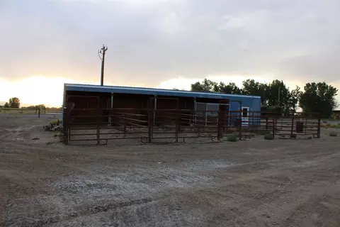1156 20 Rd, Fruita, CO 81521 photo 14