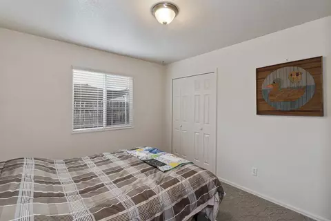 222 Narrow Leaf Dr, Fruita, CO 81521 photo 17