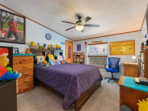 1205 Libra Ct, Fruita, CO 81521 photo 19