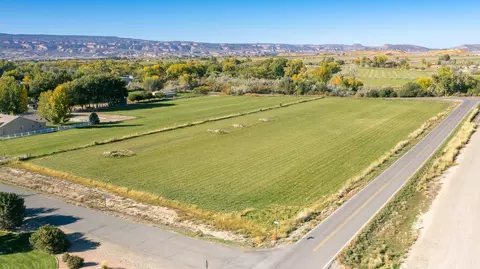 1762 Lucki Dr, Fruita, CO 81521 photo 4