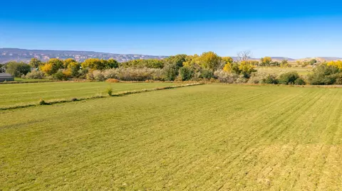 1762 Lucki Dr, Fruita, CO 81521 photo 12