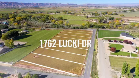 1762 Lucki Dr, Fruita, CO 81521 photo 3