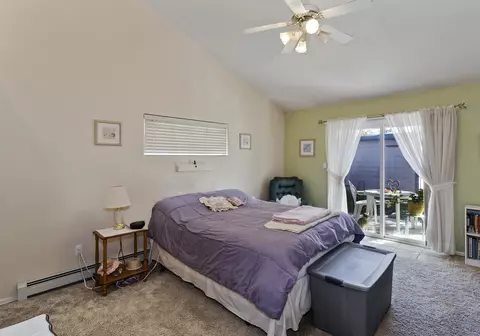 486 Gold Rush Dr, Fruita, CO 81521 photo 16