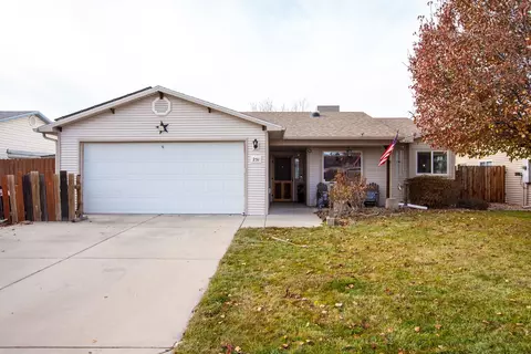 231 Narrow Leaf Dr, Fruita, CO 81521 photo 1
