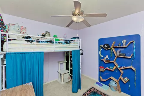 231 Narrow Leaf Dr, Fruita, CO 81521 photo 10
