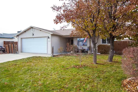 231 Narrow Leaf Dr, Fruita, CO 81521 photo 2