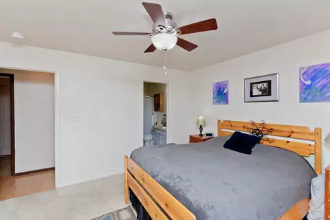 231 Narrow Leaf Dr, Fruita, CO 81521 photo 23