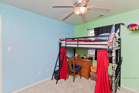 231 Narrow Leaf Dr, Fruita, CO 81521 photo 16