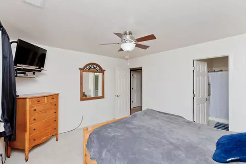 231 Narrow Leaf Dr, Fruita, CO 81521 photo 24